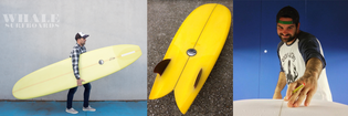  Whale Surfboards